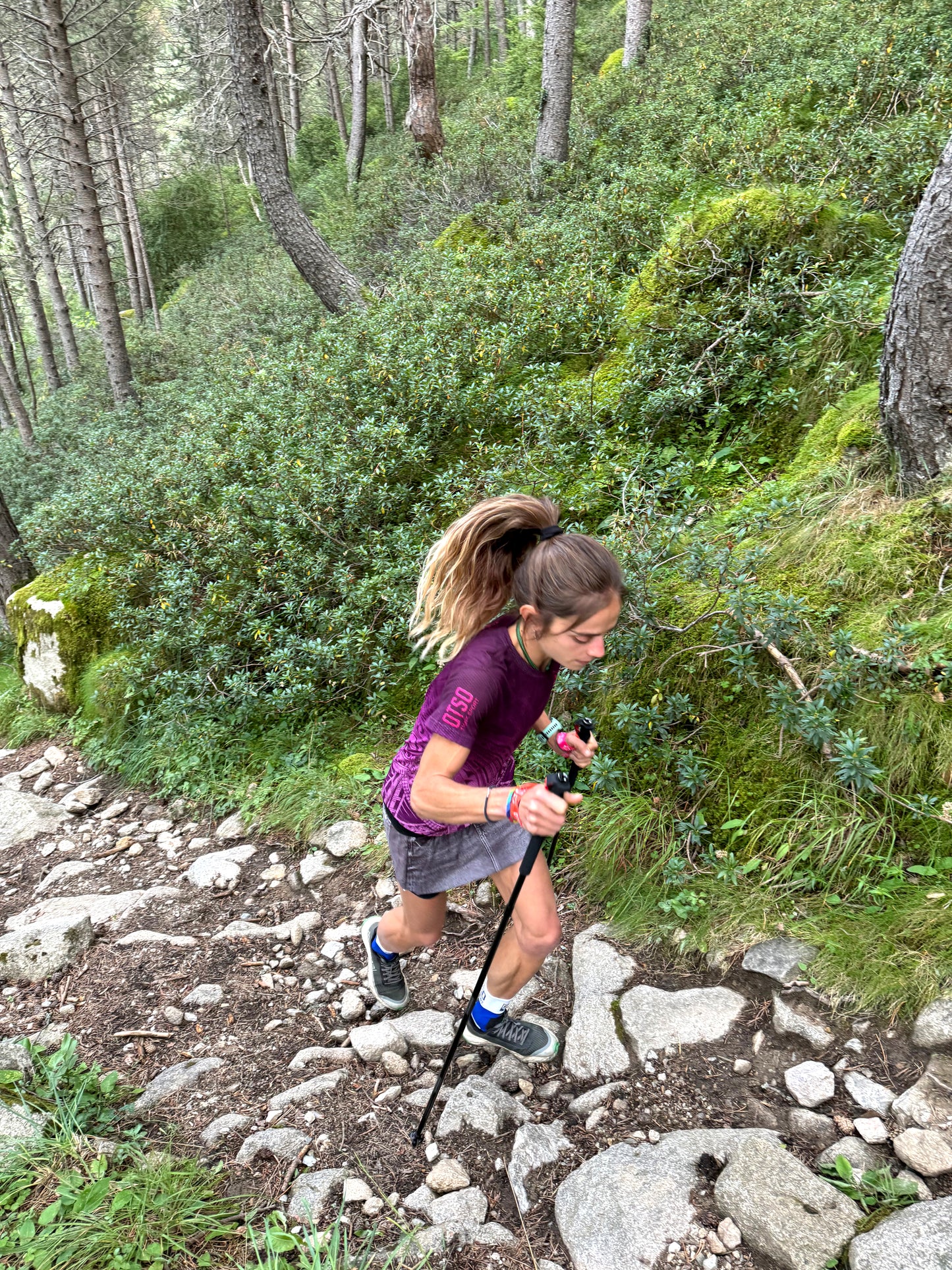Bâtons en carbone pliables ultralégers pour Trail Running et Trekking - Noir