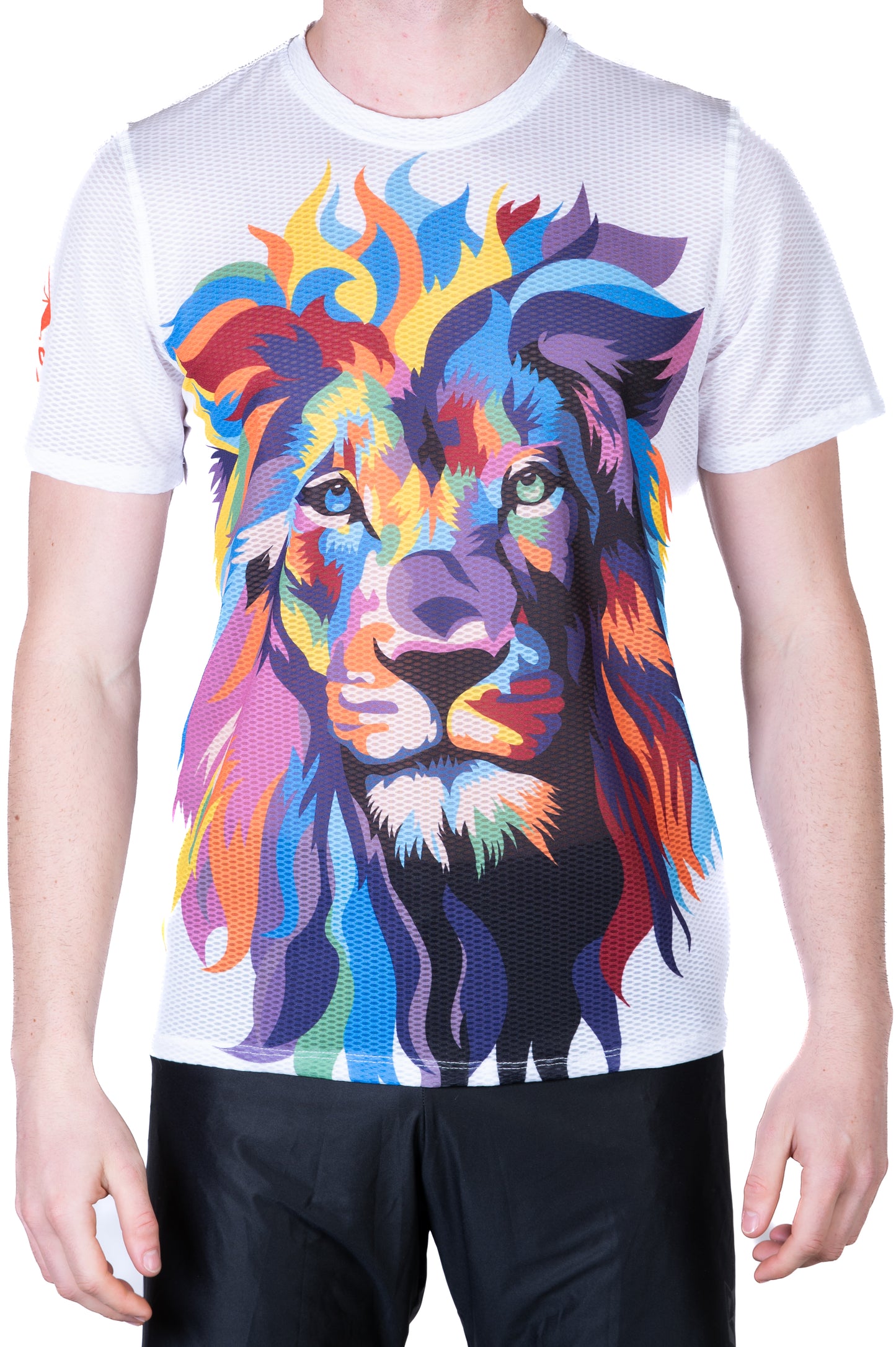 Camiseta manga corta hombre - Be A Lion