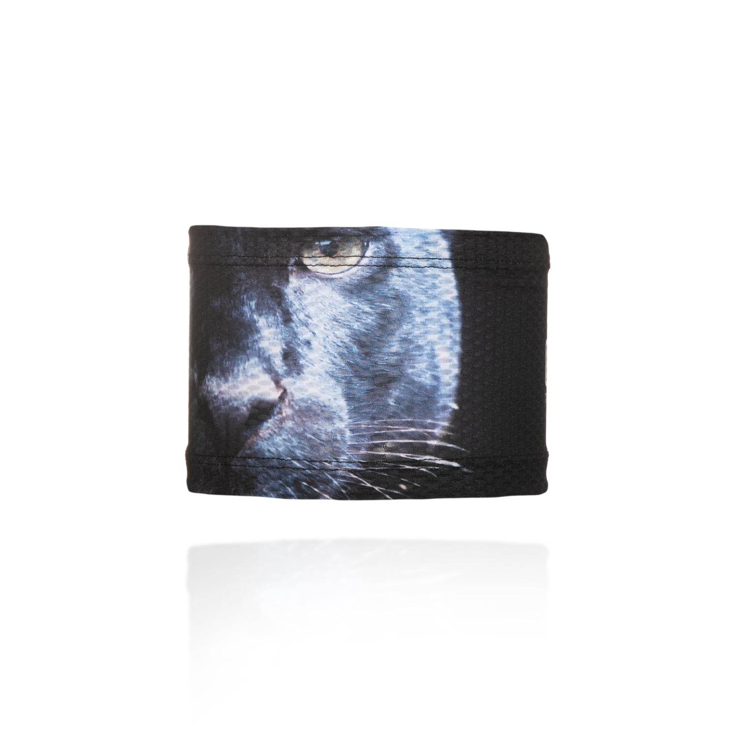 Fascia dai Panther ultraleggeri