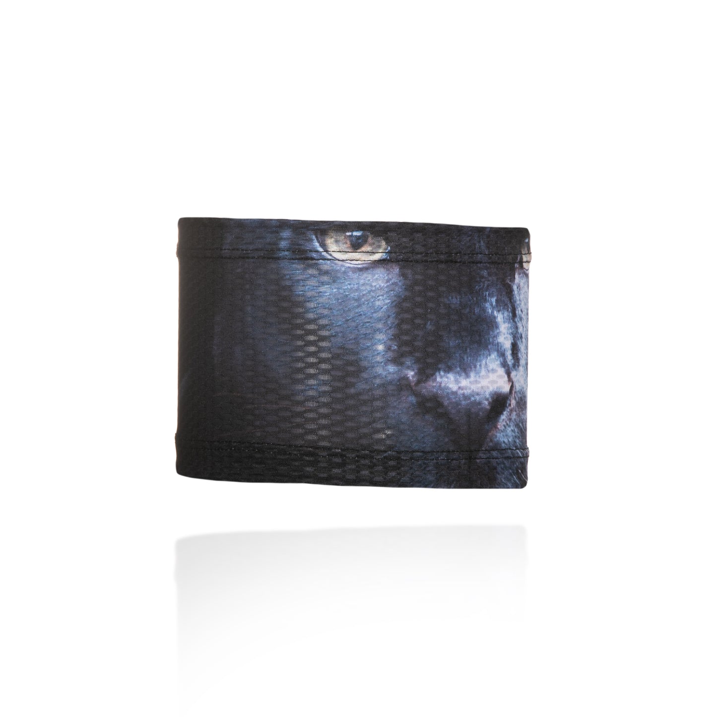 Fascia dai Panther ultraleggeri
