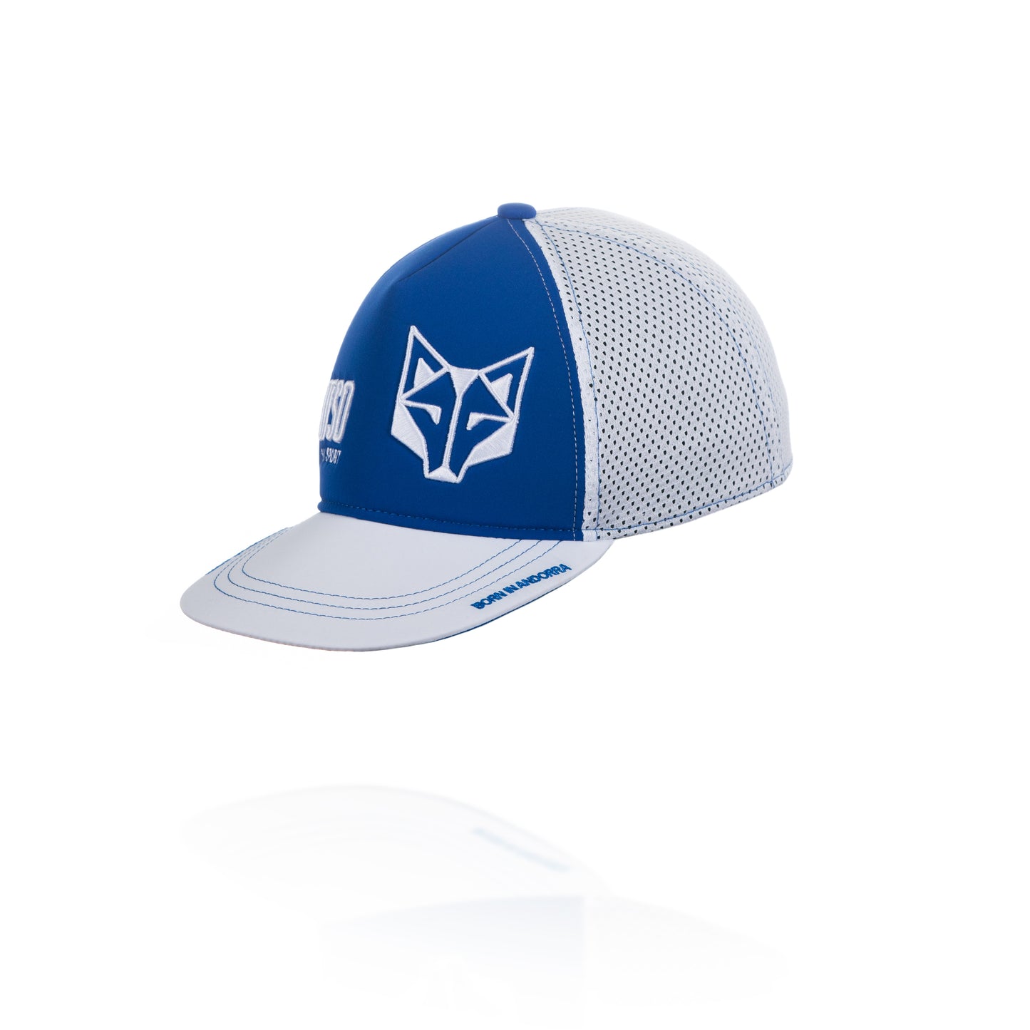 Boné snapback - Azul Elétrico e Branco