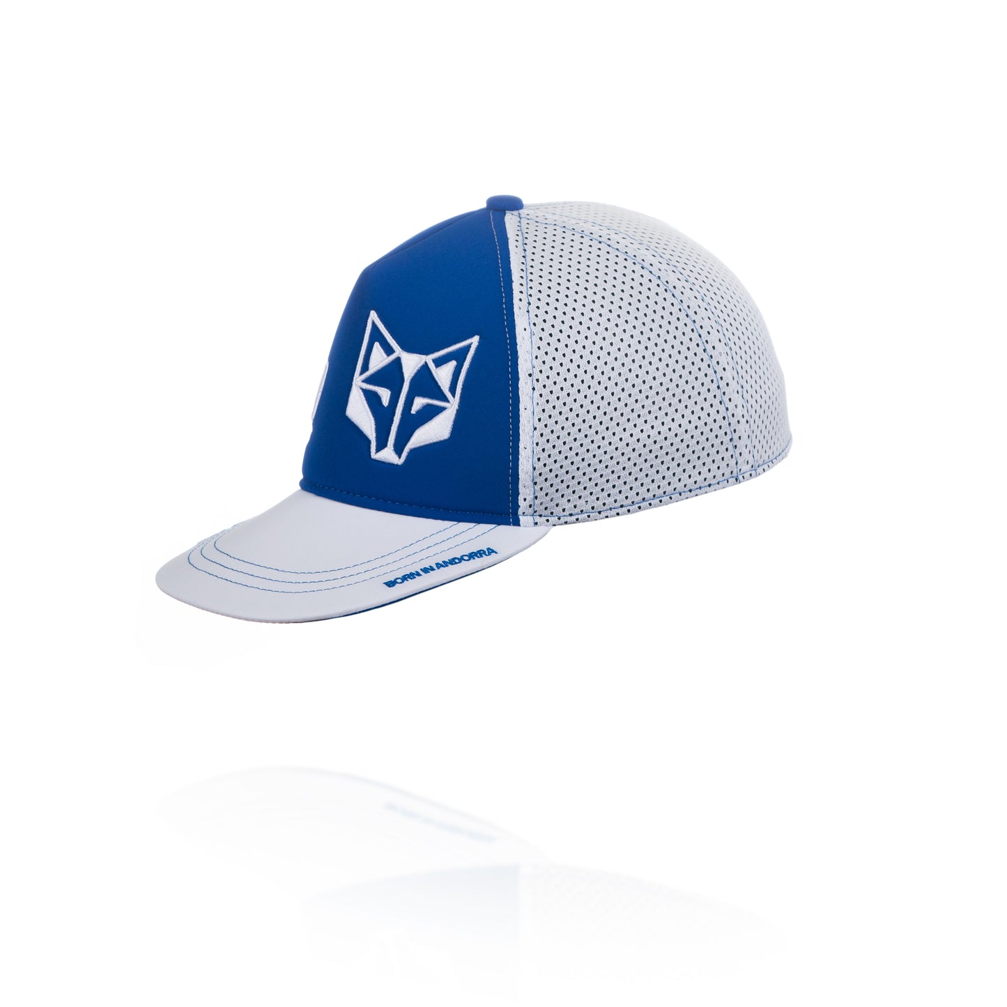 Boné snapback - Azul Elétrico e Branco