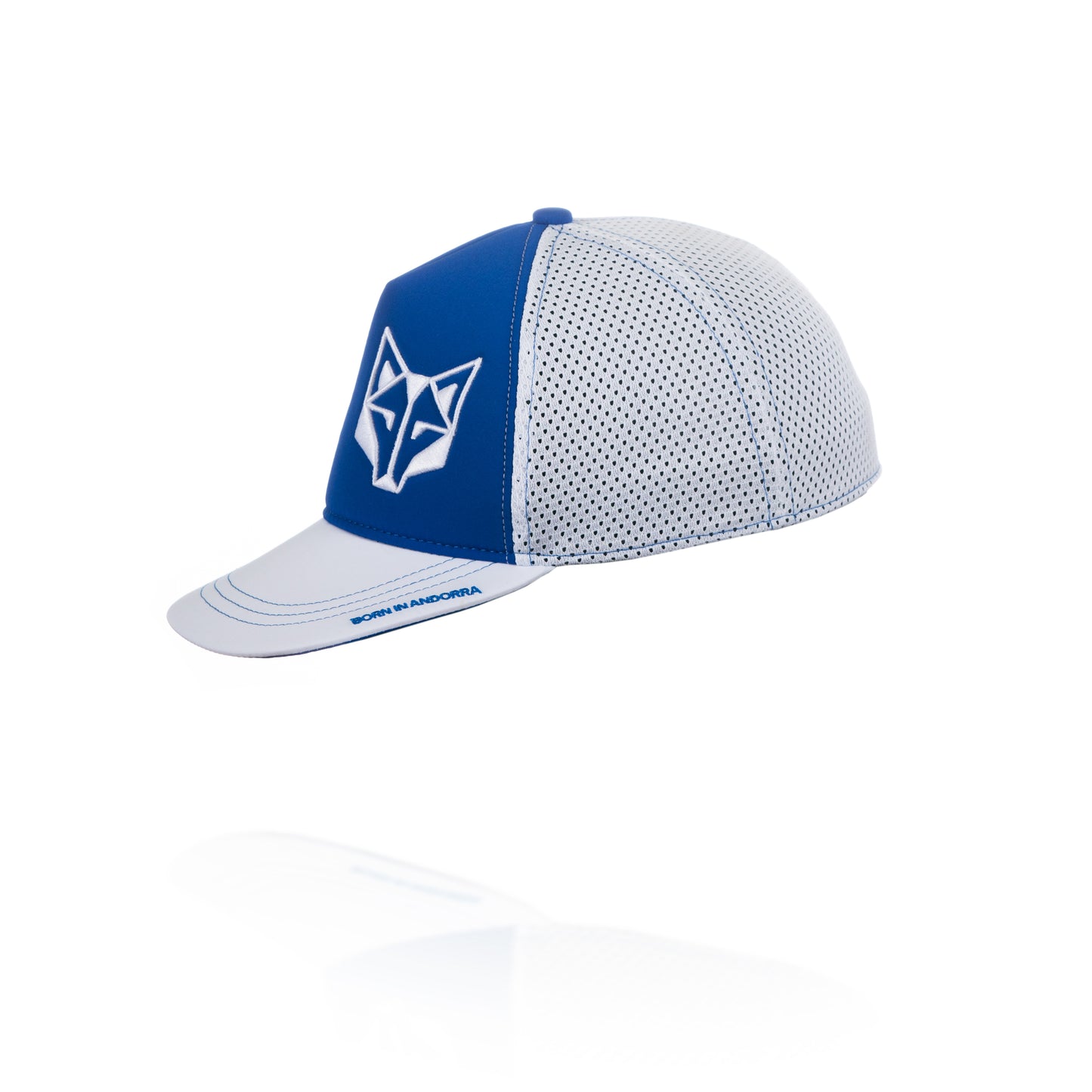 Boné snapback - Azul Elétrico e Branco