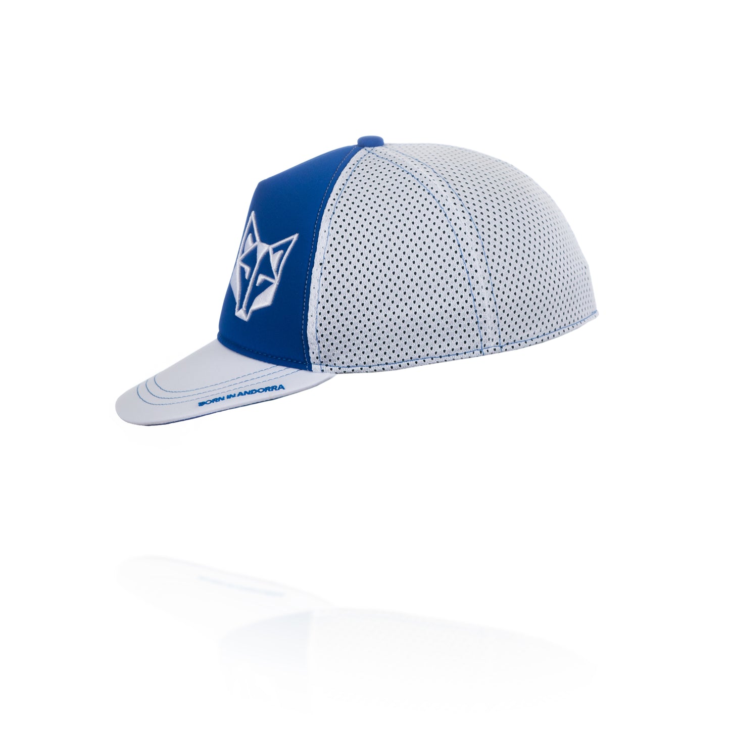 Boné snapback - Azul Elétrico e Branco