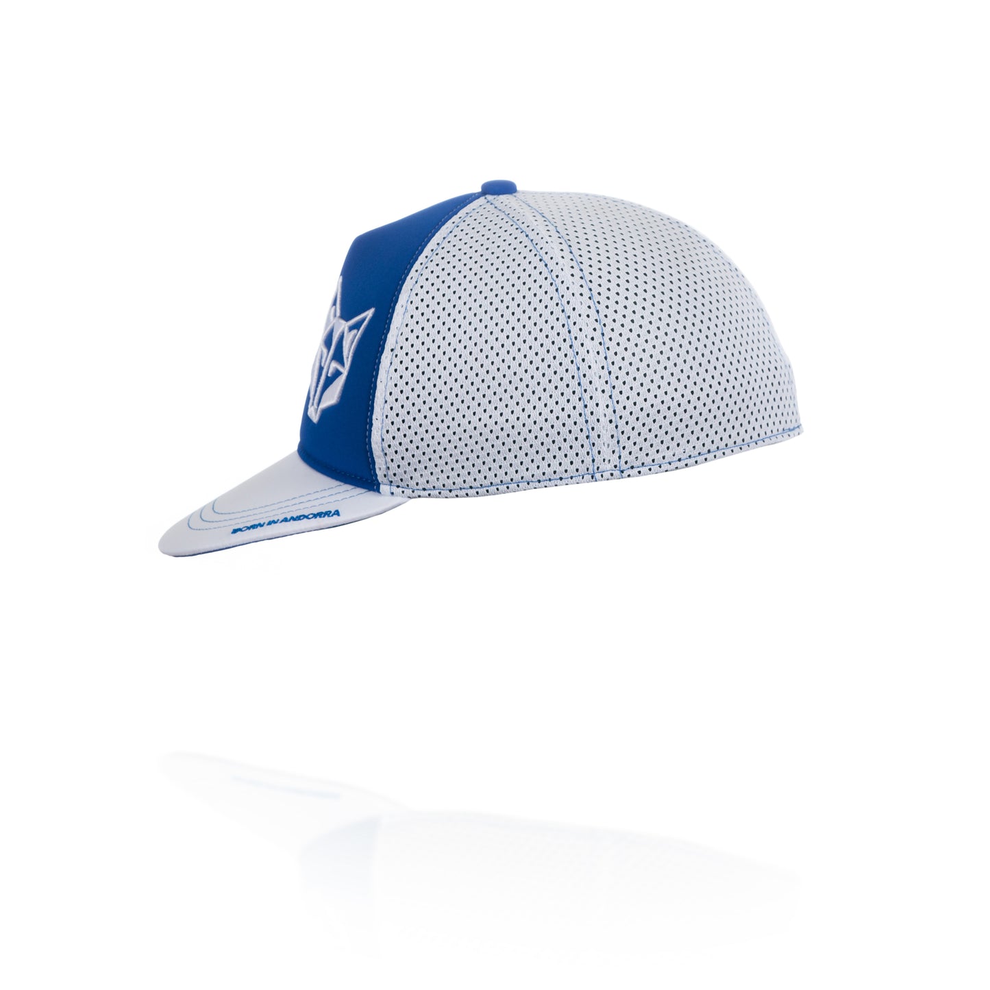 Boné snapback - Azul Elétrico e Branco