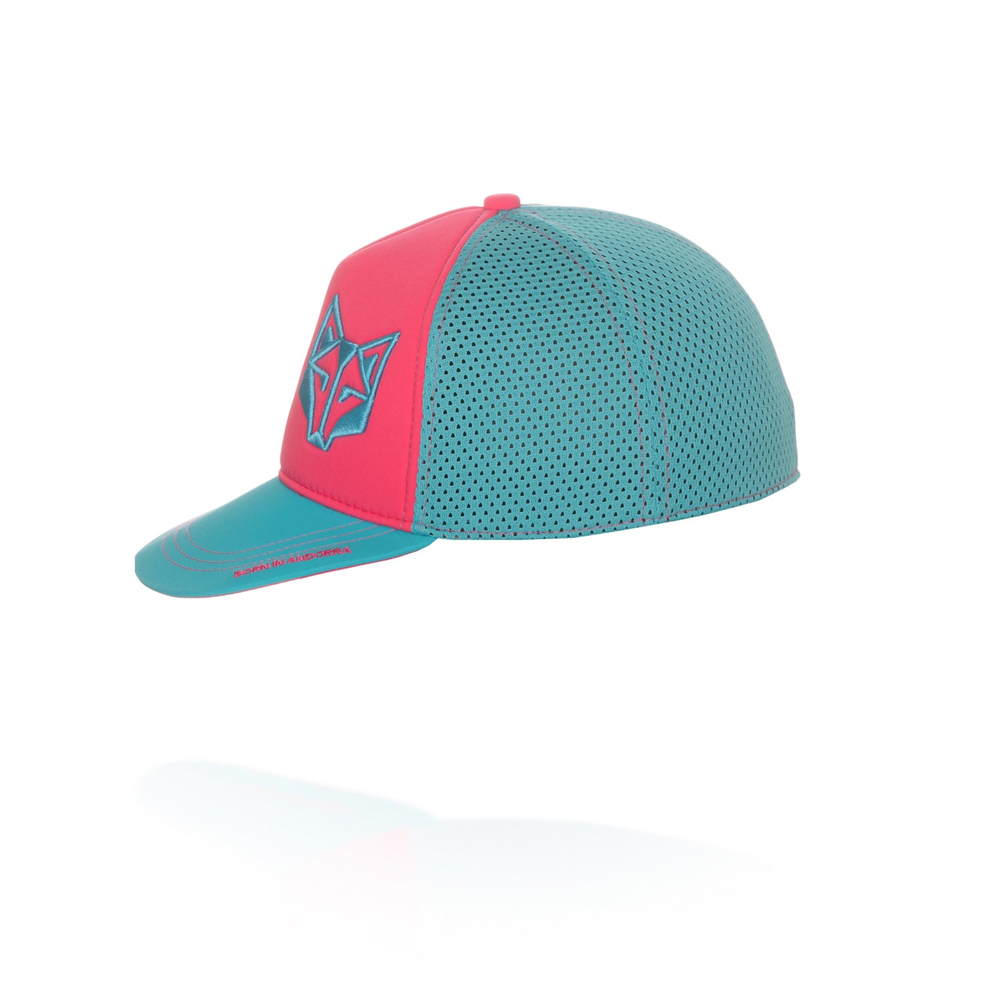 Snapback Cap - Fluo Pink & Light Blue